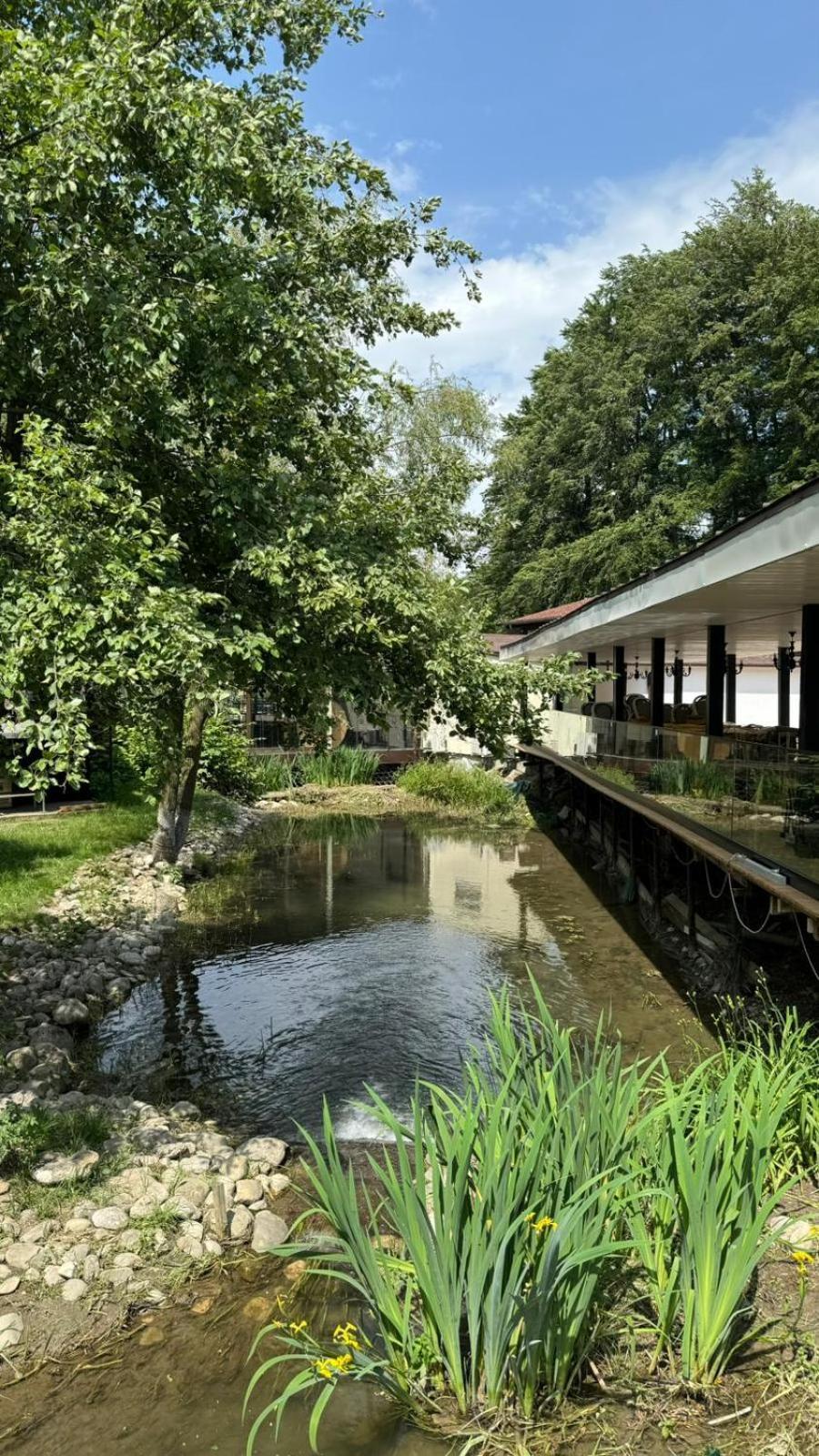 Marabou Resort Брашов Экстерьер фото